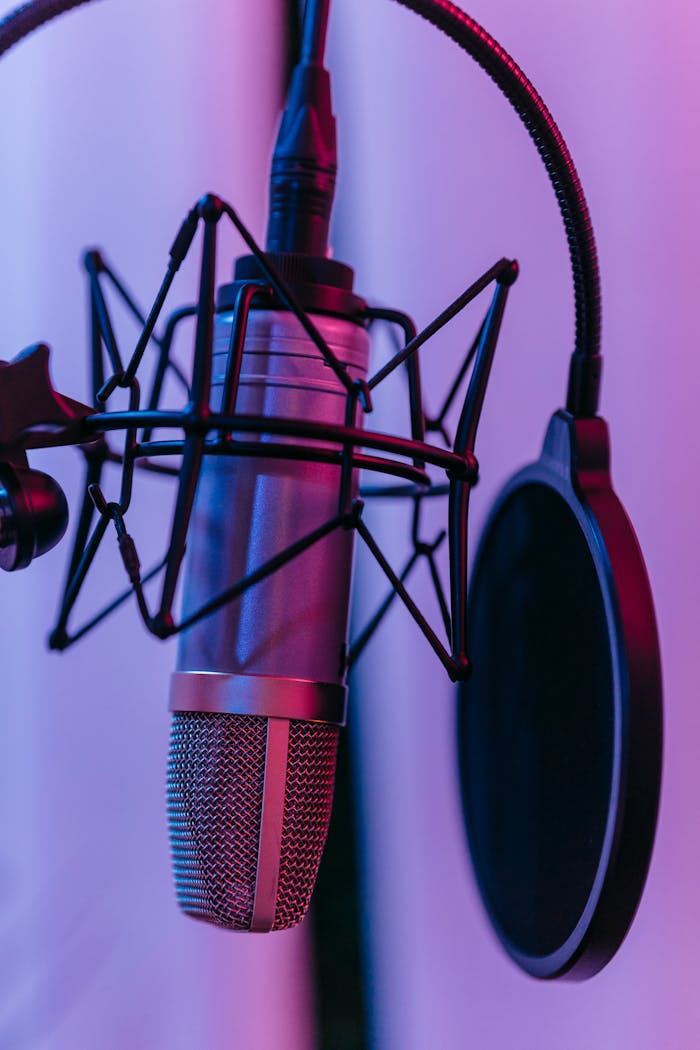 A detailed close-up of a studio microphone with pop filter, ideal for music and broadcasting themes.